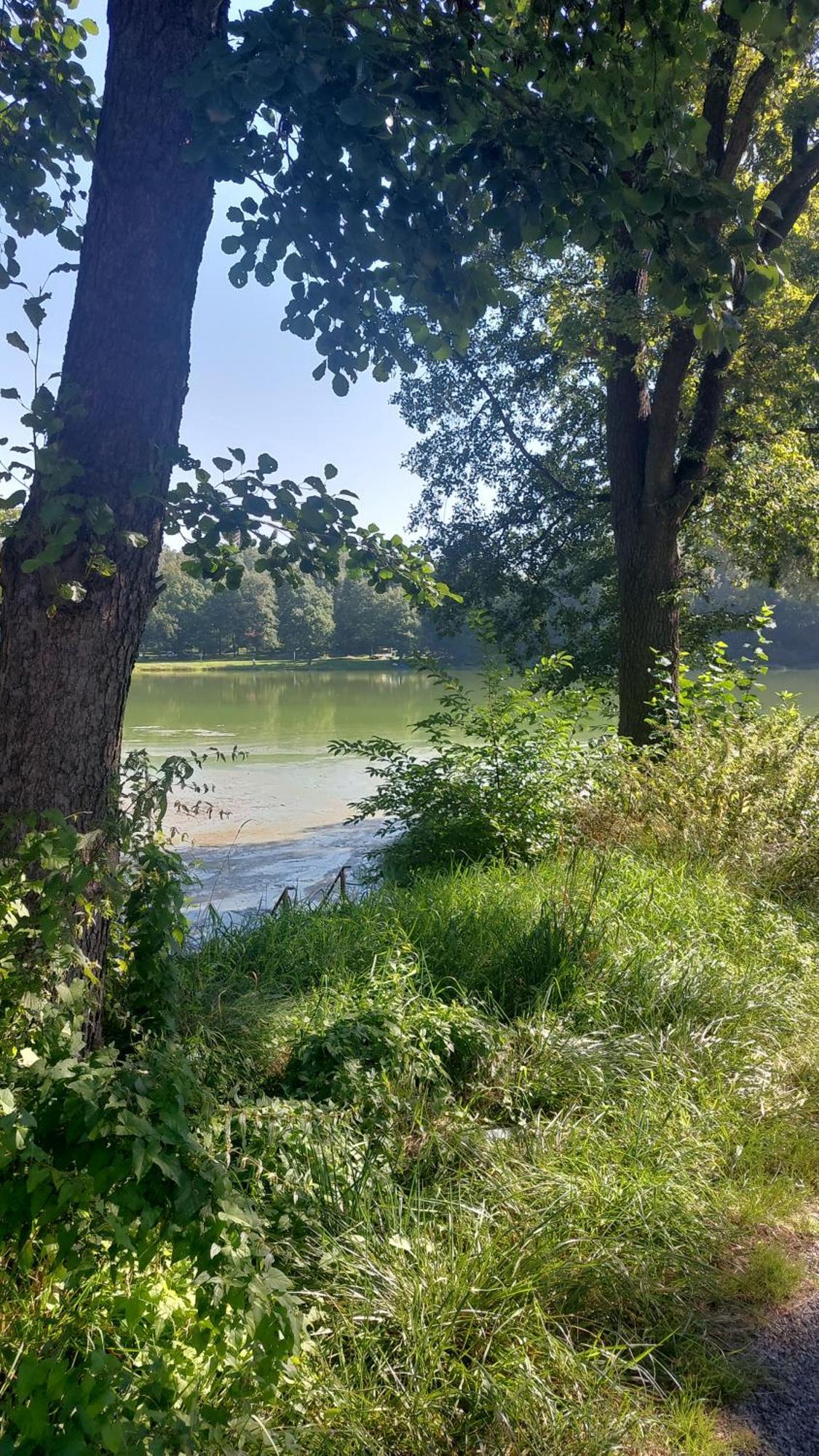 Domki Nad Jeziorem Karlowice Екстериор снимка